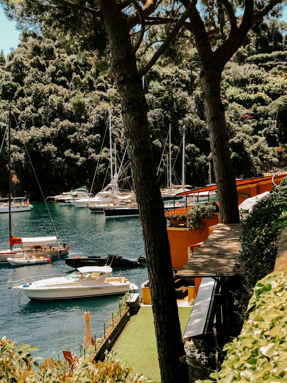 Jachtos žalioje Portofino įlankoje